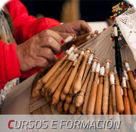 Cursos e formaci&oacute;n